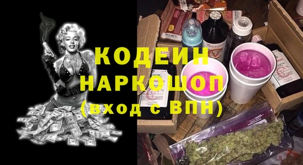 шишки Верея